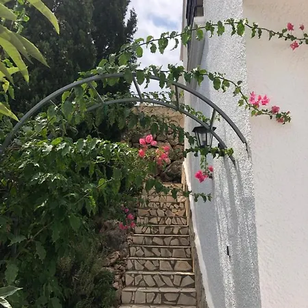 Luz Del Monte